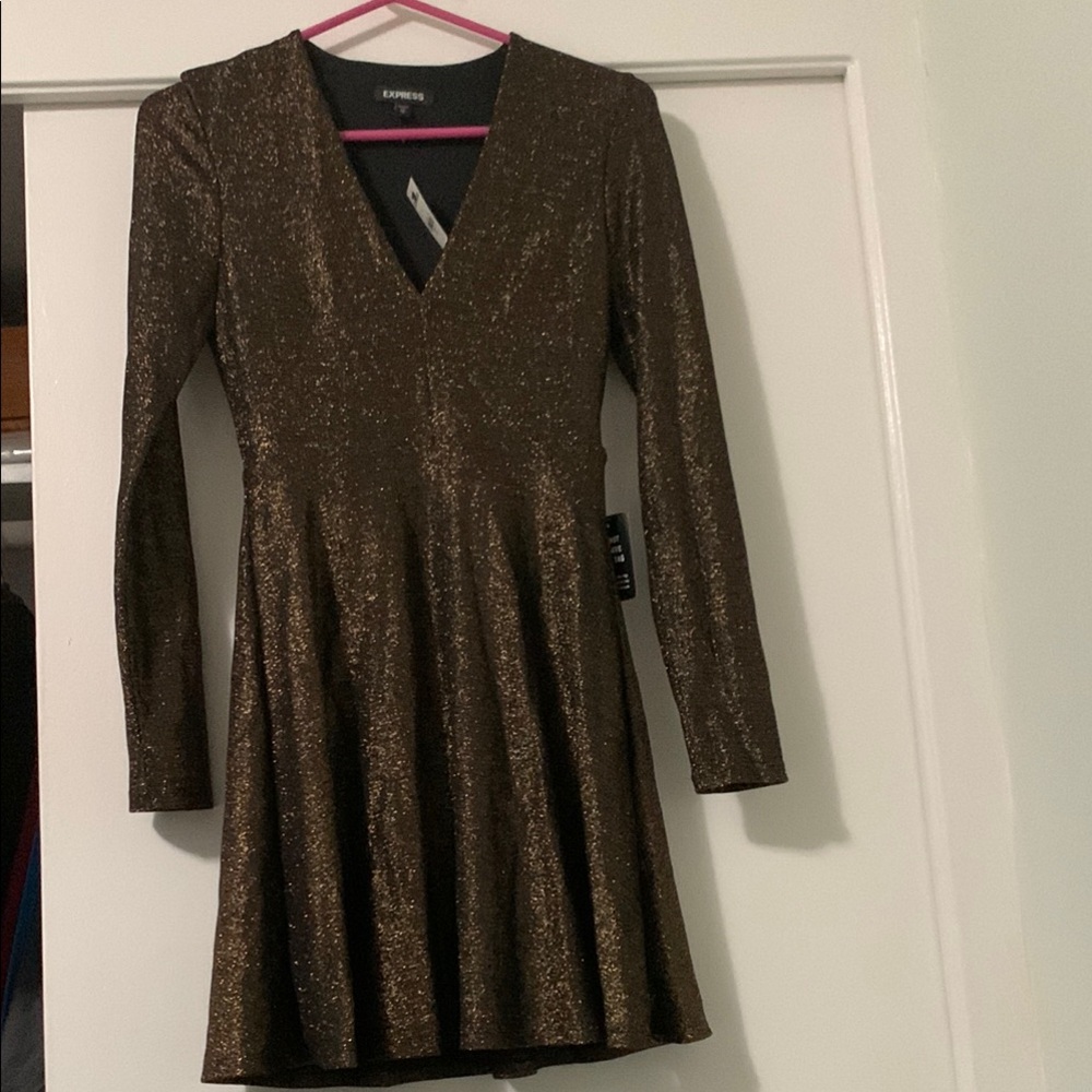Express Shimmering Bronze Dress